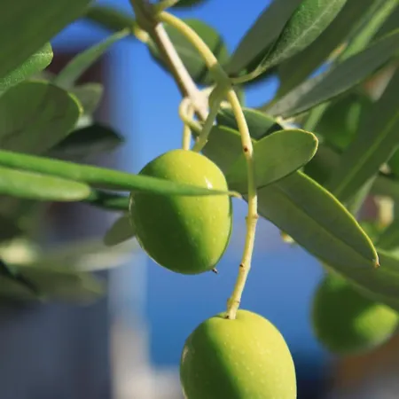 8384a Appartamento *